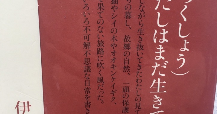 読書の記録『道行きや』伊藤比呂美